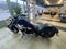 2019 Honda VT1300CX FURY